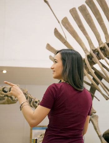 Musei al Campus dell'Università della Calabria